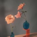 그린아이즈 이미지