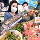 참치먹는날