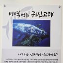 낙산 귀신고래