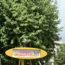 경양로 | 광주역 맛집 영미 오리탕 3명 오픈런해서 먹은 후기