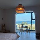 욜로하 스테이 이미지