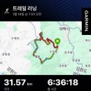 팀프로