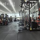 영바디짐 이미지