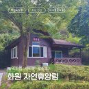 숲속의 정든집 야영장 | 대구여행 &lt;화원자연휴양림&gt; 숲속의집 &#39;제비꽃&#39; 투숙후기 이용총정리 :: 도심 접근성 좋은 계곡 있는...