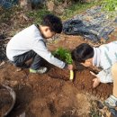 광휘농장 이미지