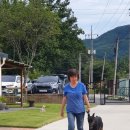 도그피아 애견 훈련 학교 이미지