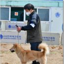 포동이