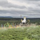 구들티농장3 | [제 3편] 차향과 커피향이 흐르는 도시, 바오록 투이응옥(Thuý Ngọc) 차농장 탐방기