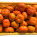 오현농장 이미지