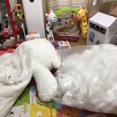 대왕세탁 이미지