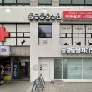 돌봄동물병원 | 수원 팔달구 강아지 스케일링 병원 추천 돌봄동물병원 치과센터 스케일링 발치 치주염 후기