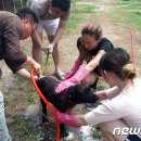 목욕농장 이미지