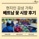 서호꽃집 | [베트남시장] 색다른 베트남여행 코스! 현지 감성 가득한 베트남 꽃시장 후기