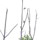 낙동강변13 이미지