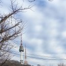 810스튜디오