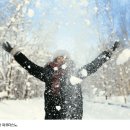 고요한나라