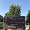카페수림정원 | 고성 카페추천 수림정원