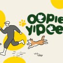 똥강아지 수제간식 이미지