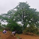 대포갯벌 이미지