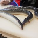 수정양지-A-1 이미지