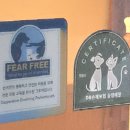 어글리독 이미지