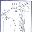 고서 경맥도 2 수양명대장경 좌우각20혈 이미지