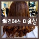 헤르메스 헤어갤러리