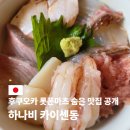 하나비 | 롯폰마츠 하나비 후쿠오카 카이센동 맛집 가격 후기