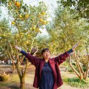 이화원(온실) 이미지