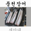 세마대풍천장어 이미지