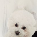 방배로 184 네이버블로그