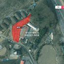 양지-3562 이미지