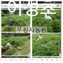 항진농원