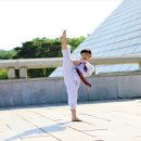 정태권도 이미지