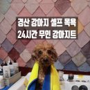 강아지트 이미지