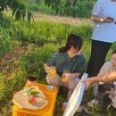 햇살찬농장 이미지