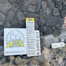 세화 엘라 이미지