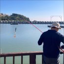 사)무지개가족 | 구걸엔딩..☆ 가족들과 강화 동검레저낚시터 방갈로 후기