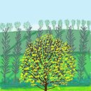 중일초등학교 이미지