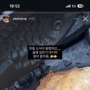 국회대로54길 네이버블로그