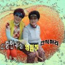 몽드림