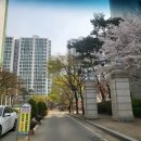 동신3차(아름마을) | 안중 동신3차아파트 평택 아름마을동신메트로파크3차 수전교체 싱크대수도꼭지 시공 비용 작업