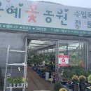 은혜꽃농원 이미지