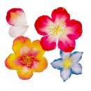 동주농장 이미지