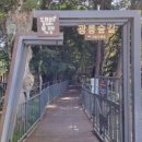 2024년 10월 공연 공룡 애니멀쇼(1회) | ‘아이와 가볼만한 곳 추천’ 국립광주박물관, 어린이를 위한 공연 숲체험…4월부터 문화행사