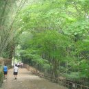 달맞이흑두부 이미지