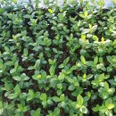 계산농장 이미지