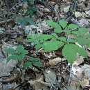 삼도골고루 이미지