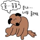 월드토이 이미지