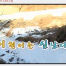 시골김밥 - 예천군 지보로 172 | 시골김밥